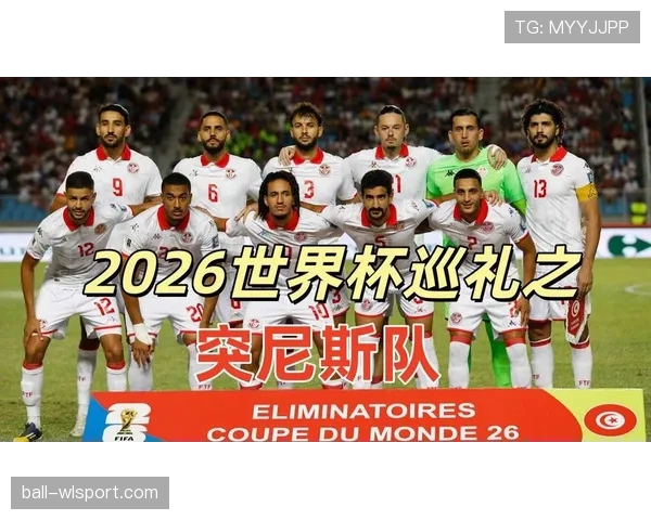 突尼斯队2026世界杯能否晋级淘汰赛